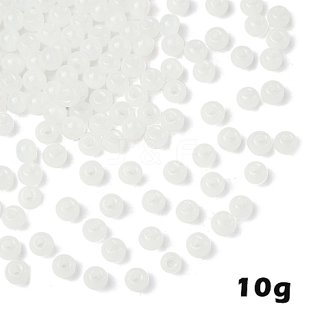 10G Glass Seed Beads SEED-YW0003-03I-1