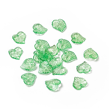 Transparent Acrylic Pendants X1-TACR-G039-01-1