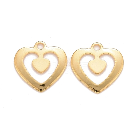 201 Stainless Steel Charms LS-STAS-K217-75G-1