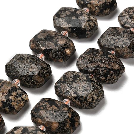 Natural Snowflake Obsidian Beads Strands G-H078-B22-01-1