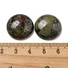 Natural Dragon Blood Cabochons G-C115-02A-11-3