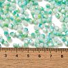 Baking Painted Glass Seed Beads SEED-C004-03D-4