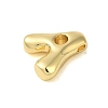 Rack Plating Brass Pendants KK-C067-10G-A-2