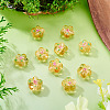 10Pcs Handmade Lampwork Beads LAMP-TADJ0001-01C-5