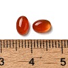 Natural Carnelian Cabochons G-F605E-22A-3