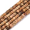 Natural Picture Jasper Beads Strands G-Q606-46A-14-2