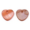 Natural Freshwater Shell Charms X-SHEL-R113-17H-2
