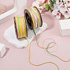 2 Rolls 2 Colors Segment Dyed Round Polyester Twisted Cords OCOR-TA0003-65A-7