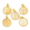 Natural Yellow Shell Carved Moth Pendants KK-D537-04G-01-1