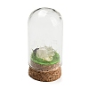 Natural Rose Quartz Nuggets Display Decoration with Glass Dome Cloche Cover DJEW-B009-03C-1