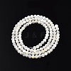 Natural White Shell Bead Strands SSHEL-N003-144C-01-2