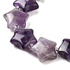 Natural Amethyst Quartz Beads Strands G-NH0005-030-4