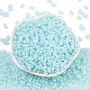 Baking Paint Glass Seed Beads SEED-L011-09A-08-2