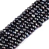 Natural Cultured Freshwater Pearl Beads Strands PEAR-N015-04D-1