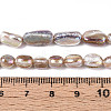Electroplated Natural Freshwater Shell Beads Strands X-SHEL-T020-33-4