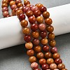 Dyed Natural Malaysia Jade Beads Strands G-G021-02B-23-4