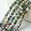 Natural Tree Agate Round Gemstone Beads Strands G-R255-8mm-2