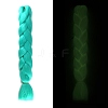 Luminous High Temperature Fiber Long Braids Wig Hair PW-WG01FBE-04-1