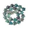 Natural Fluorite Beads Strands G-K359-E14-5