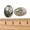 Natural Peace Jade Cabochons G-C115-01A-41-3