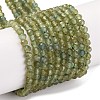 Natural Green Apatite Beads Strands G-F770-C03-02-2