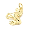 Brass Charms KK-I364-02G-06-2
