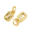 Brass Pave Cubic Zirconia Charms CU-CBA3D67-12G-10-2