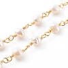 Natural Pearl Beaded Necklaces NJEW-JN03435-02-2