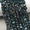 Natural Apatite Beads Strands G-R445-8x10-24A-1