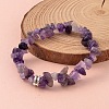 Chip Natural Gemstone Beaded Stretch Bracelets BJEW-JB02148-2