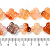 Natural Agate Beads Strands G-H024-C01-01-5