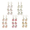 5Pairs 5 Colors Glass Dangle Earrings EJEW-JE05805-1