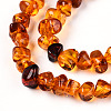 Natural Amber Beads Strands G-T138-235C-3