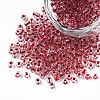 8/0 Transparent Glass Seed Beads SEED-F003-03B-03-3