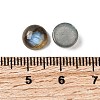 Natural Labradorite Cabochons G-D804-02-5