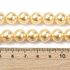 Electroplated Shell Pearl Beads Strands BSHE-G041-10mm-01-4