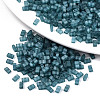 2-Hole Baking Paint Glass Seed Beads SEED-S031-M-SH1006FR-1