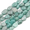 Natural Amazonite Beads Strands G-P606-A01-01-2