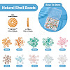200Pcs 10 Colors Natural Shell Beads Strands BSHE-TA0001-19-4