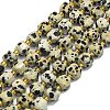 Natural Dalmatian Jasper Beads Strands G-I376-D85-01-1