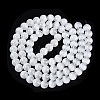 Acrylic Imitation Cat Eye Beads Strands OACR-Q197-01C-01-2