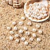 10Pcs Natural Cultured Freshwater Pearl Beads PEAR-YW0001-35-1
