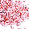 Glass Seed Beads X1-SEED-K010-03P-1