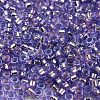 Glass Seed Beads X1-SEED-S042-04A-08-3