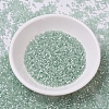 MIYUKI Delica Beads SEED-JP0008-DB0829-2