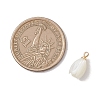 Natural Trochus Shell Tulip Flower Charms PALLOY-JF04860-2
