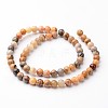 Round Natural Crazy Lace Agate Bead Strands G-J346-07-6mm-2