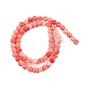 Synthetic Shell Dyed Carved Beads Strands SHEL-C008-01-2