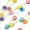 Natural Freshwater Shell Beads Strands SHEL-K006-52A-1