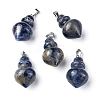 Natural Sodalite Pendants G-G998-C05-1